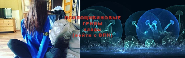 хмурый Надым