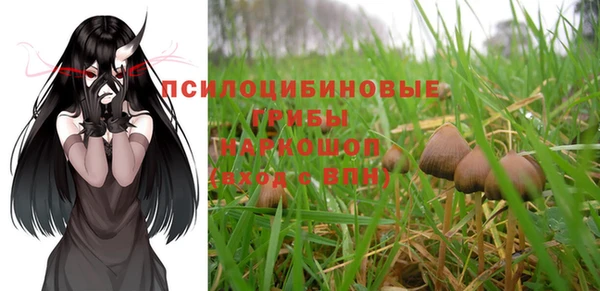 а пвп мука Михайлов